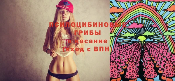 дурь Абаза